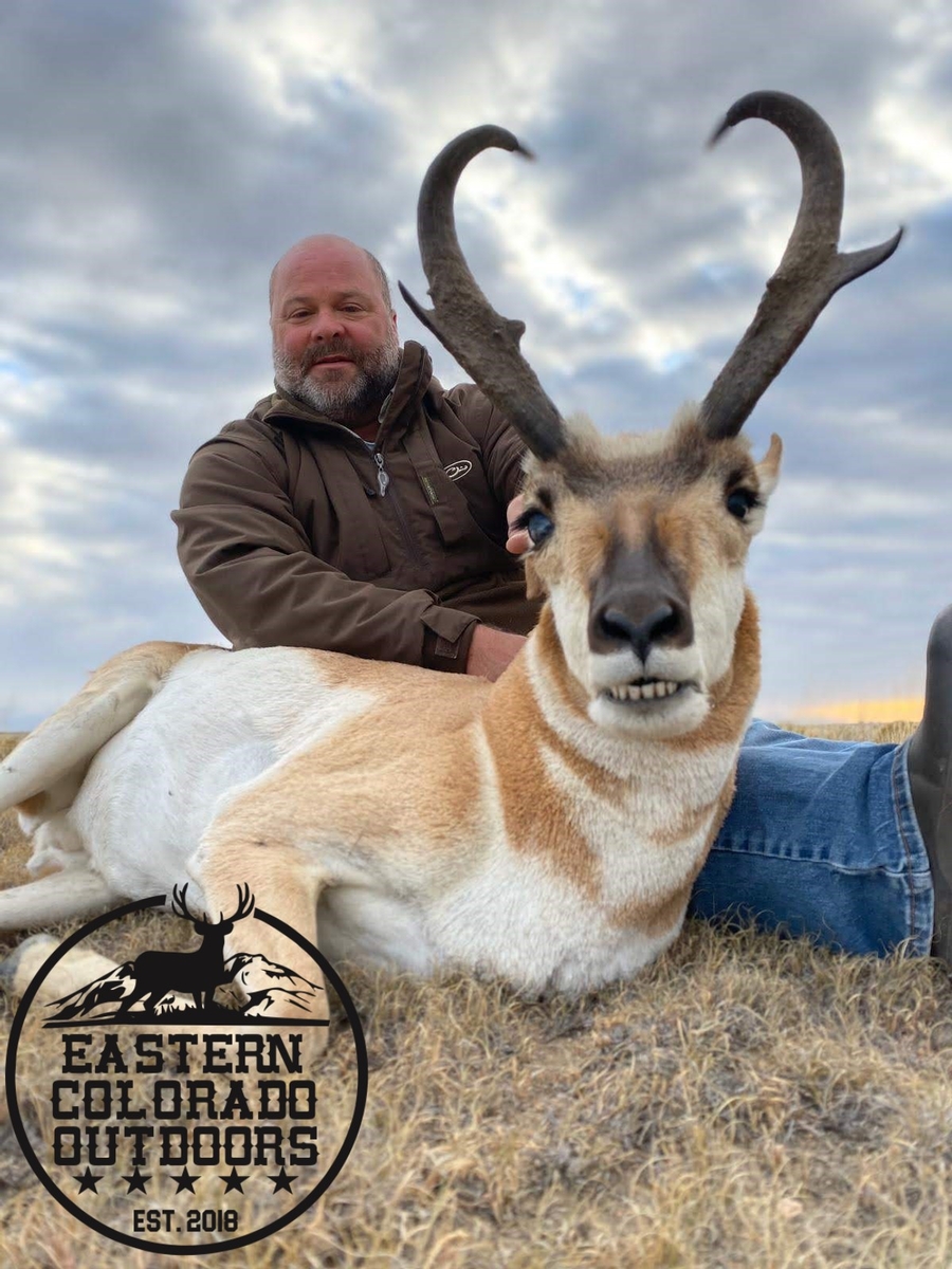 Colorado Pronghorn Hunting Guided Antelope Hunts