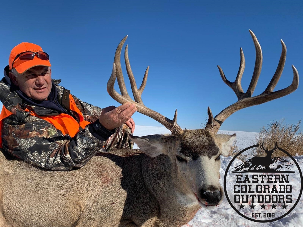 Trophy Mule & Whitetail Deer Hunting
