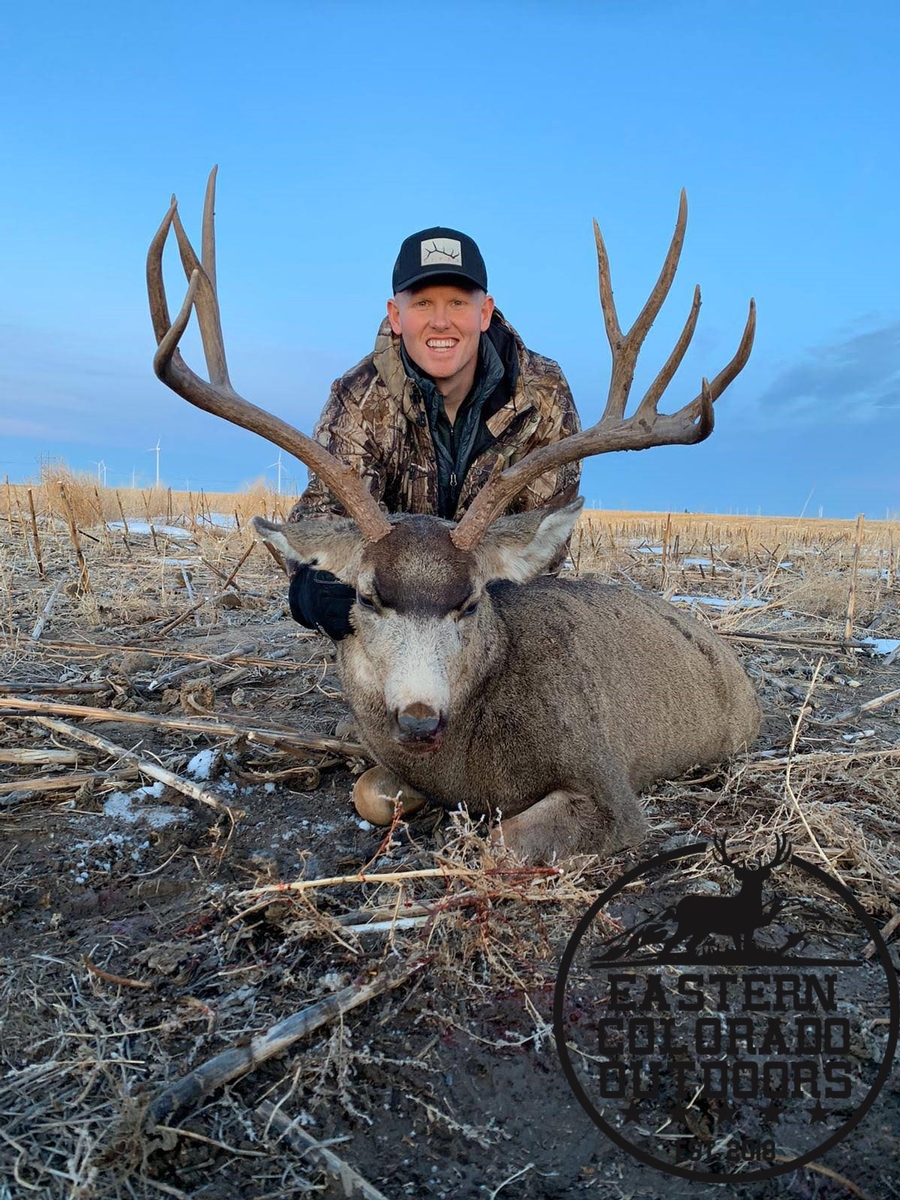 Page 2/2 - Eastern Colorado Outdoors Mule Deer Photo Gallery