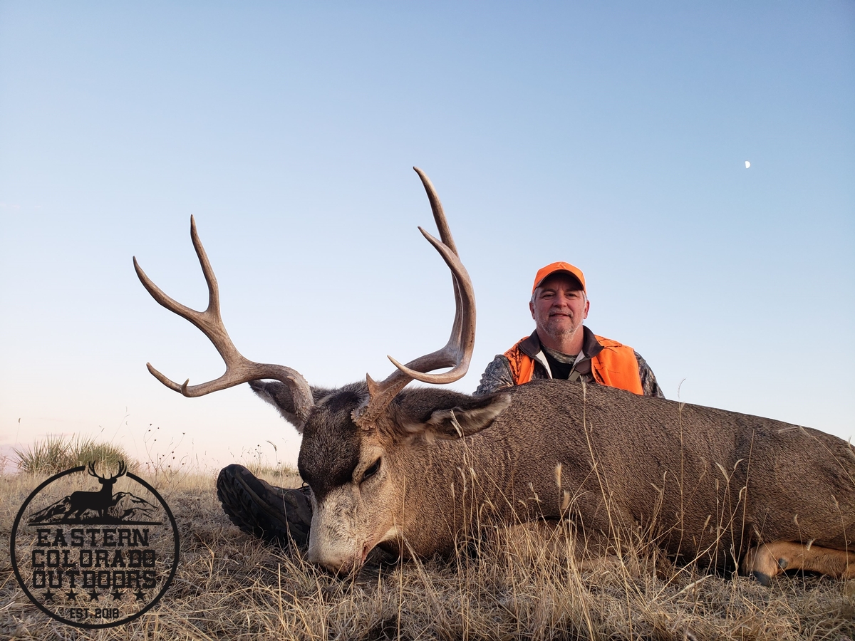 Page 2/2 - Eastern Colorado Outdoors Mule Deer Photo Gallery